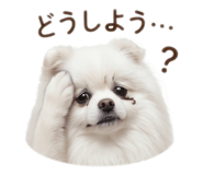 840081765