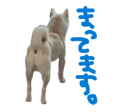840081771