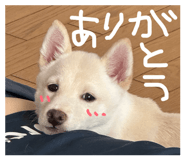 840081776