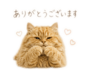840081798