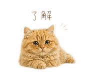 840081801
