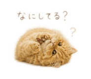 840081804