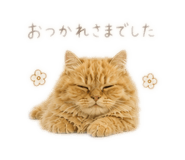 840081808