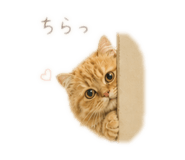 840081812