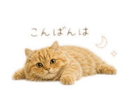 840081816