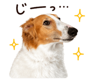 840081918