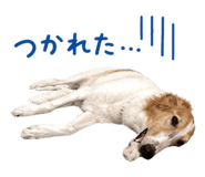 840081920
