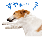 840081926