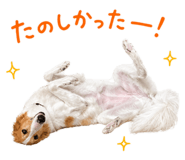 840081928
