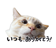 840081994