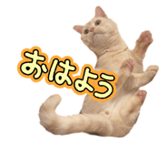 840082033