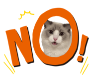 840082040