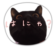 840082059