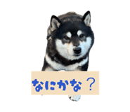 840082281