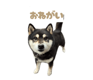 840082283
