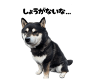 840082286