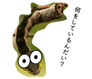 840083090