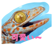 840083101
