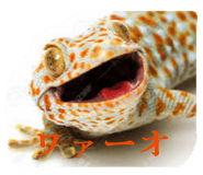 840083111