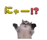 840086433
