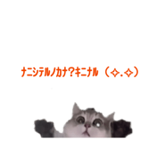 840086435
