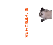 840086437