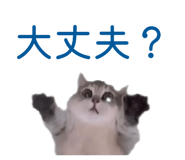840086443