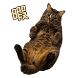 840087853