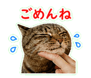 840087860