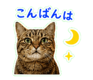 840087866