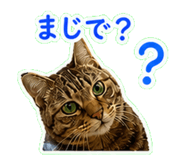 840087874