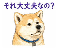 840089862