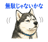 840089874