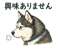840089877