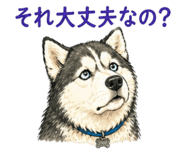 840089886