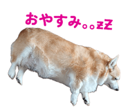 840090050