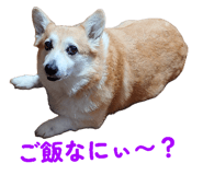 840090060