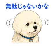 840090082