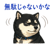 840090234