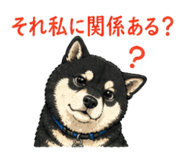 840090239