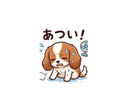 840090369
