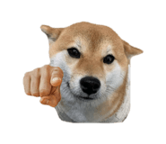 840091066