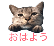 840091097