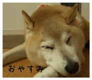 840091362