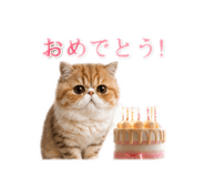 840091540