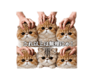 840091550