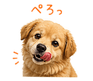 840091622