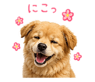 840091624