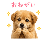 840091625