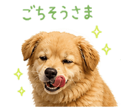 840091628